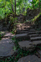 Pathway in the middle of abandoned jungle village in China