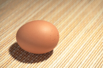 One brown egg on a simple bamboo table cloth. Poultry product.