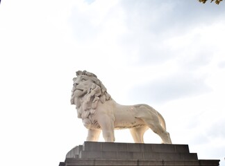 Fototapeta na wymiar Sculpture of a lion in waterloo, london