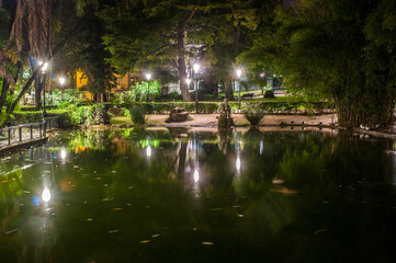 Fototapeta na wymiar Night view of the lake in the public Estrela Garden in Lisbon, Portugal 