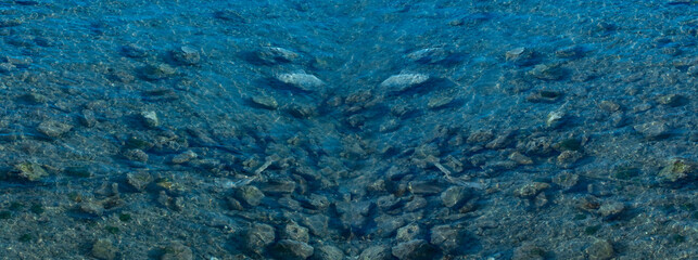 transparent sea. view of seawater with underwater reefs. seabed. underwater landscape