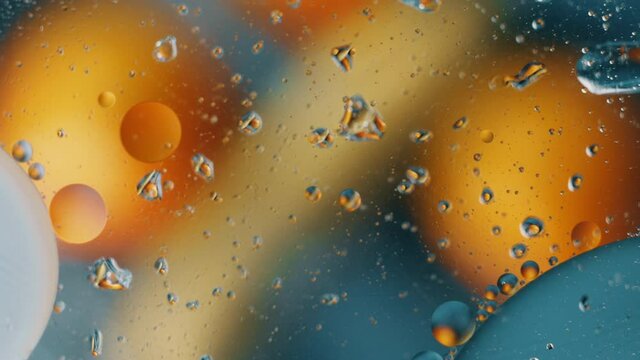 Multicolored abstract oil macro bubbles. 4k