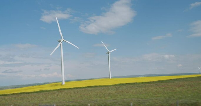 Beautiful Windmills in a Canola Field in Southern Alberta Canada, Renewable Wind Energy