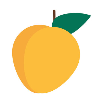 Loquat Fruit Icon, Flat Style