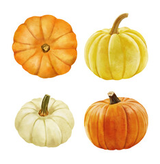 white and orange pumpkin, leaves on isolated white background, autumn set of elements on isolated white background, watercolor illustration, hand drawing