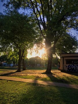 Tarde en Parque Camba Cua