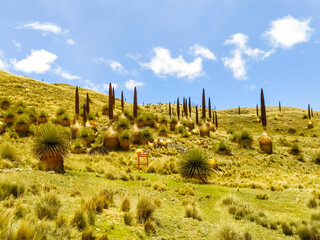 Obraz premium Mountain landscapes of the Andes in Peru near Huaraz