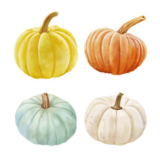 white and orange pumpkin, leaves on isolated white background, autumn set of elements on isolated white background, watercolor illustration, hand drawing