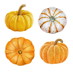 white and orange pumpkin, leaves on isolated white background, autumn set of elements on isolated white background, watercolor illustration, hand drawing