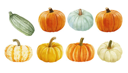 white and orange pumpkin, leaves on isolated white background, autumn set of elements on isolated white background, watercolor illustration, hand drawing