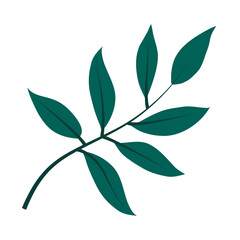 tropical leaf flat style icon vector design