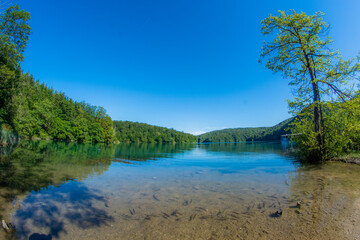 Fototapeta na wymiar lake and forest in Croatia 