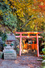 Japan Travel Destnations. Traditional Red Torii Gates with Wooden Shrine at Koyasan Mountain in Japan in Fall.