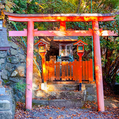 Fototapeta na wymiar Japan Travel Destnations. Traditional Red Torii Gates with Wooden Shrine at Koyasan Mountain in Japan in Fall.