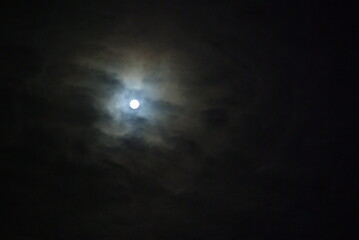 The moon in the night sky.