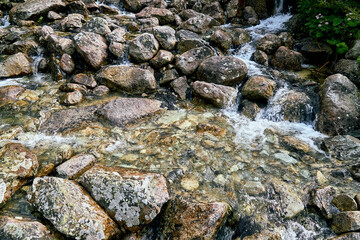 Fototapeta na wymiar Mountain fresh, cold stream with drinking clean water in High Tatras National Park, Slovakia, Europe. Beautiful world.