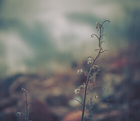 Lake Ruataniwha in Autumn, South Island, New Zealand