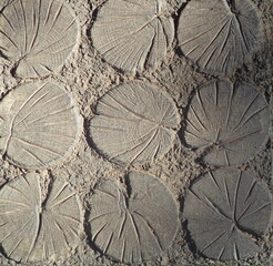 Tile with a pattern and imitation of wooden trunks, for the background.