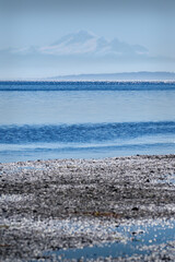 Mt Baker Boundary Bay. The view from Centennial Beach in Delta, British Columbia, Canada.

