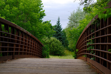 Fototapeta na wymiar The bridge to nature's bounty