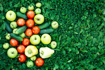 Vegetables, tomatoes, cucumbers, peppers and apples lie on the green grass.