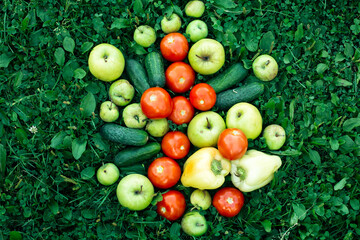 Tomatoes, cucumbers, peppers and apples lie on the green grass.