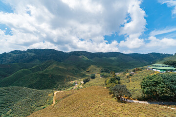 Panorama of  valley tea plantations on a sunny morning in Cameron Highlands, Malaysia. Blue sky with clouds over the mountains. Game of shadows and sunlight on the mountain slopes. 