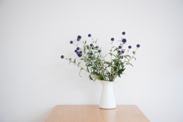 花　植物　白い花瓶　白背景　木製テーブルと観葉植物　アザミ　青　紫　爽やか　朝　おしゃれ　植物　雰囲気　背景素材　机　テーブル　コピースペース　文字スペース　余白　サイド光