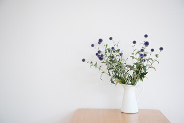 青いアザミを飾った部屋　背景　余白　コピースペース　白背景　シンプルナチュラル