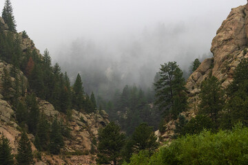 Fototapeta na wymiar Beautiful Eleven Mile Canyon Colorado