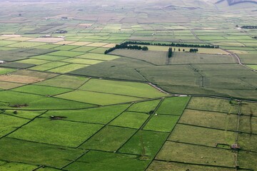 Greenfull