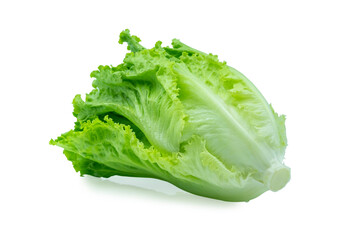 Fresh green Lettuce leaves, Salad leaf isolated on white background. 