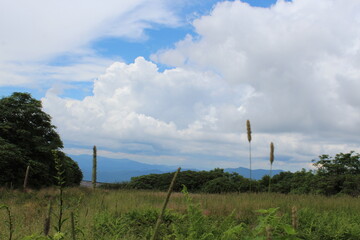 clouds over the field