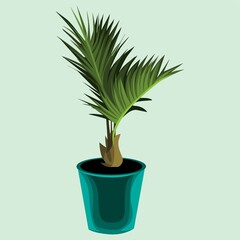 decorative green plant pot