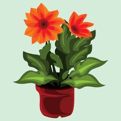 flower plant in pot