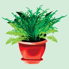 green plant in pot