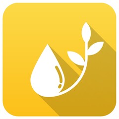 water drop with sapling