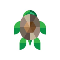 geometrical tortoise