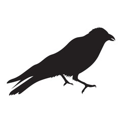 crow silhouette