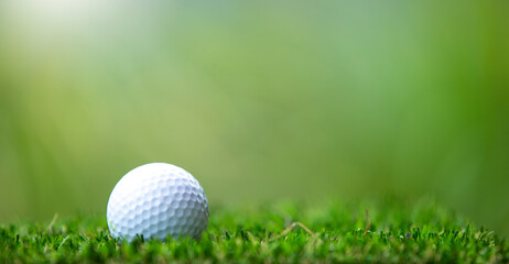 golf ball on green grass