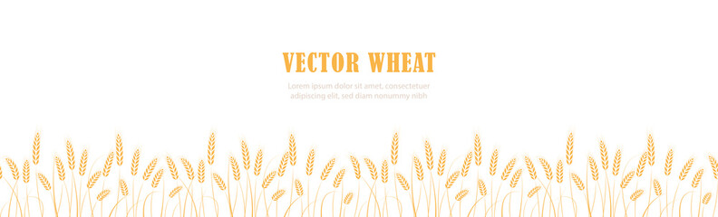 Ears of wheat in field horizontal border seamless pattern with the place for text. Vector illustration © nataliasheinkin