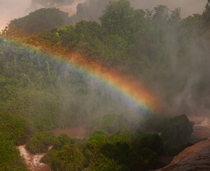 Rainbow born in the middle of the jungle mist