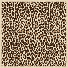cheetah skin background
