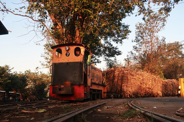 Sugar cane carriage is ready to be taken to Madukismo sugar factory, Yogyakarta. The old yellow locomotive drove slowly pulling the sugar cane train