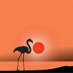 silhouette of flamingo