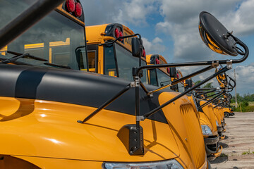 Parked school busses all in a row landscape