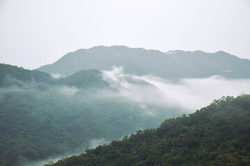 Ethereal fog flowing over the forested mountain side, south of Taipei City, Taiwan