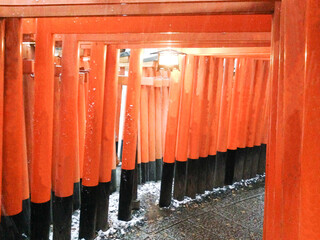 Torii gates at a Shinto shrine in Kyoto.