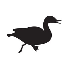silhouette of duck