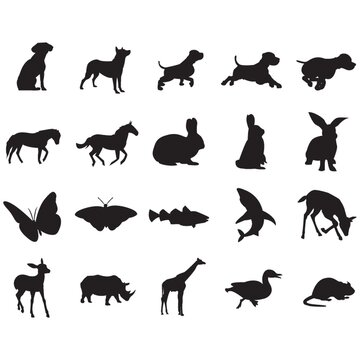 silhouette of animals
